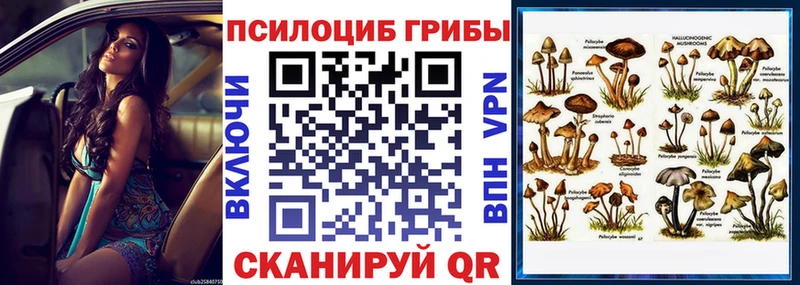 Купить  Кодинск  Псилоцибиновые грибы прущие грибы 
